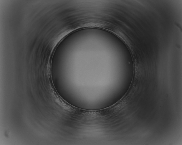 X0000101461044200807141302