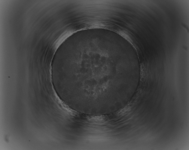 X0000101461047200807141302