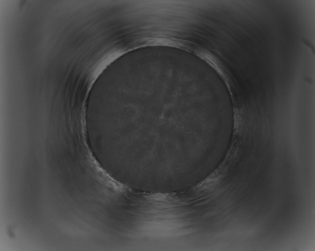 X0000101461048200807141302