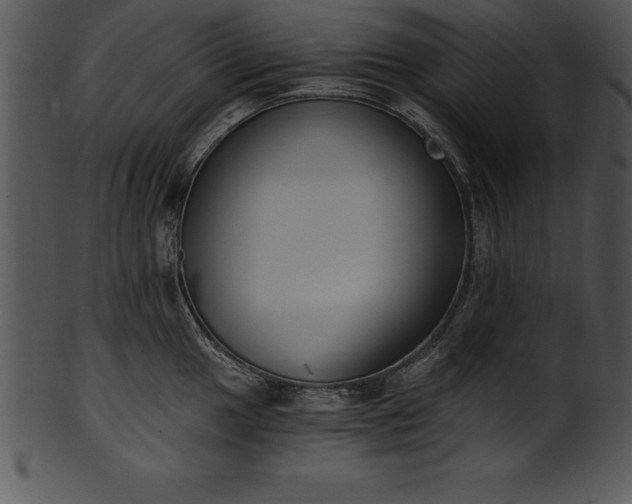 X0000101461049200807141302