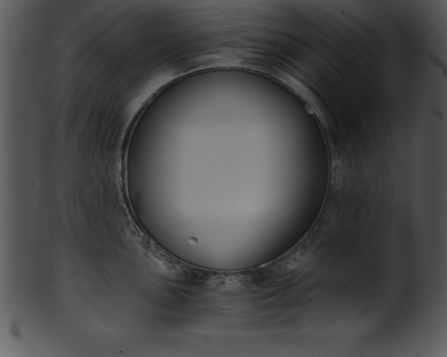 X0000101461051200807141302