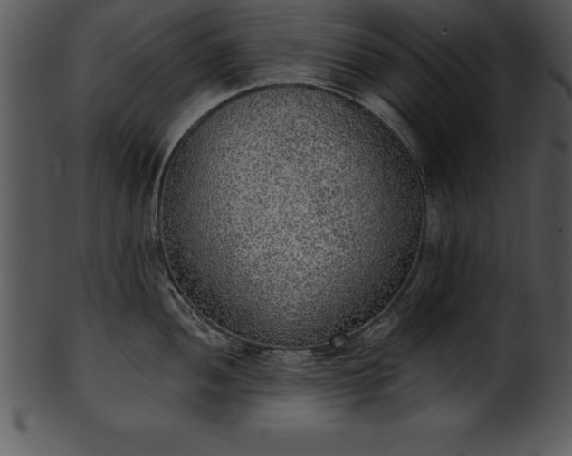X0000101461052200807141302