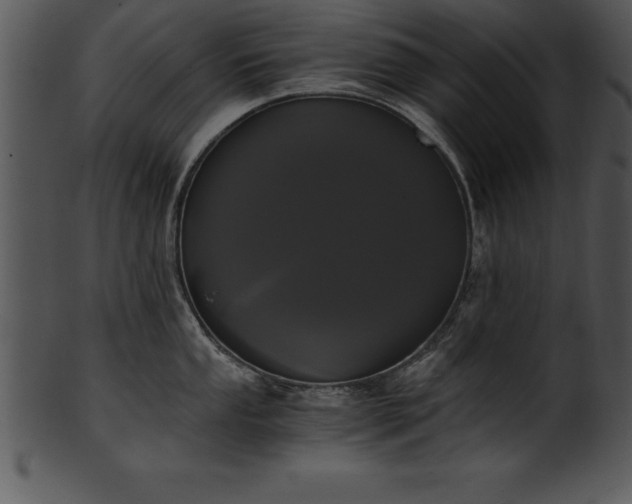 X0000101461053200807141302