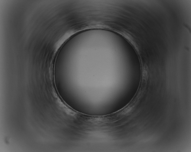 X0000101461054200807141302