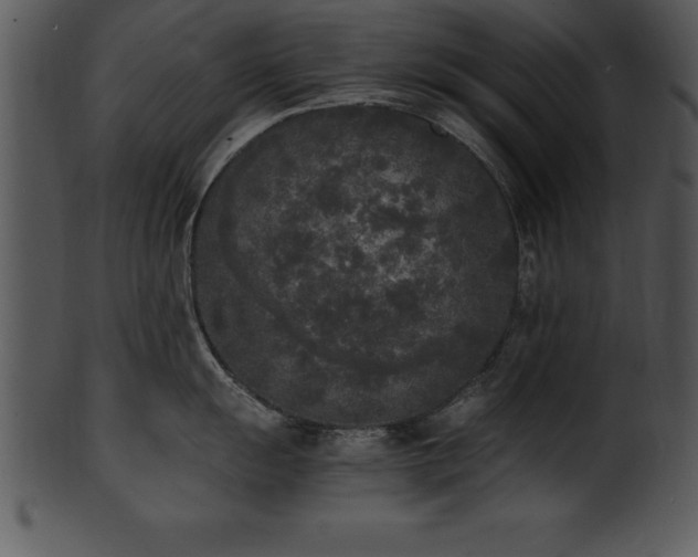 X0000101461055200807141302