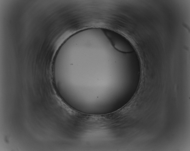 X0000101461056200807141302