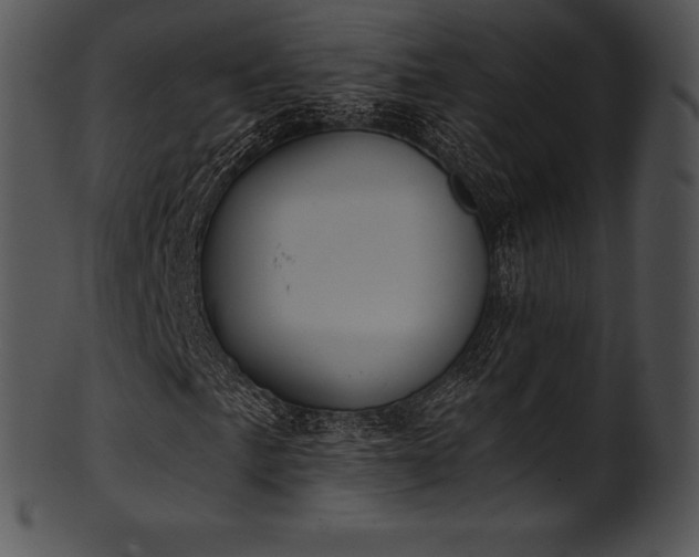 X0000101461057200807141302