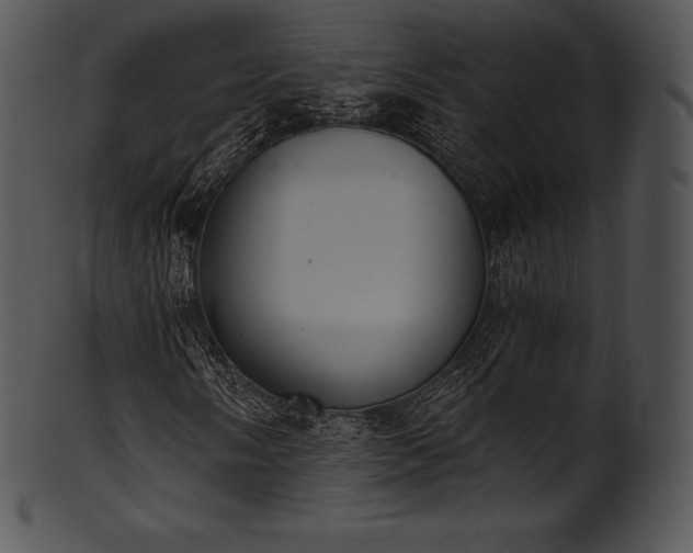 X0000101461058200807141302