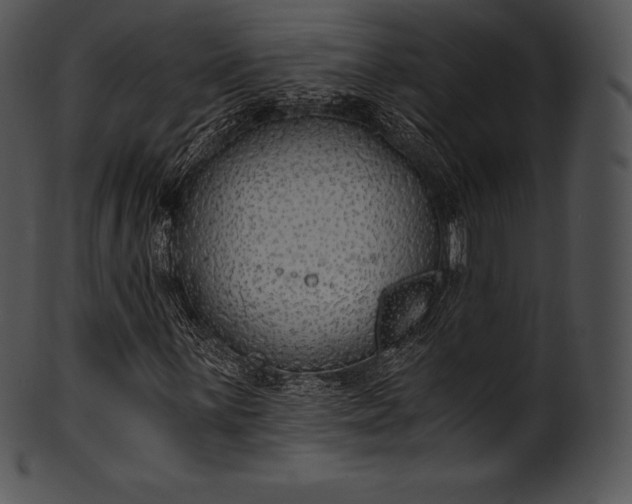 X0000101461059200807141302