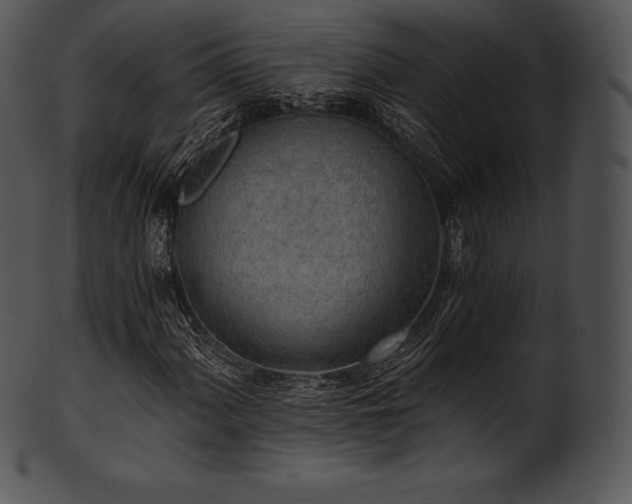 X0000101461060200807141302