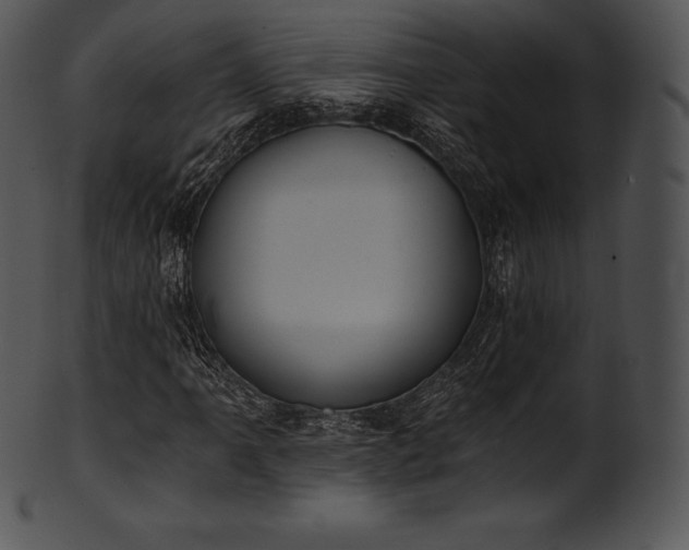 X0000101461061200807141302