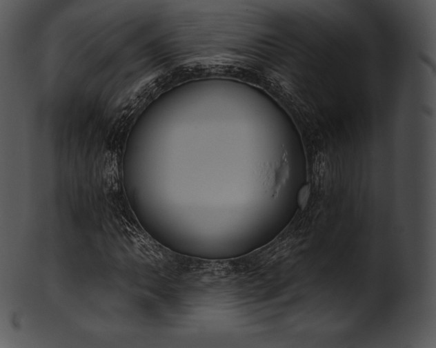 X0000101461062200807141302