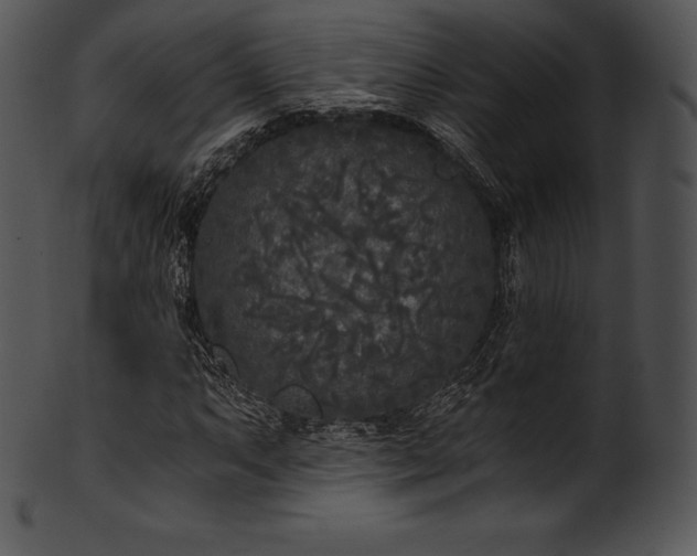 X0000101461063200807141302