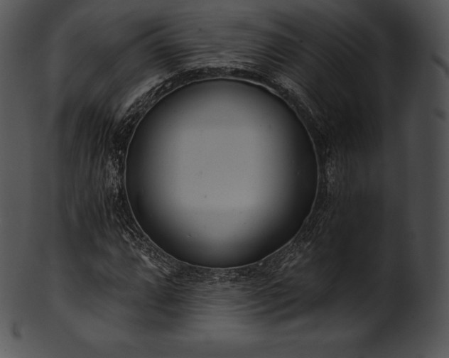 X0000101461064200807141302