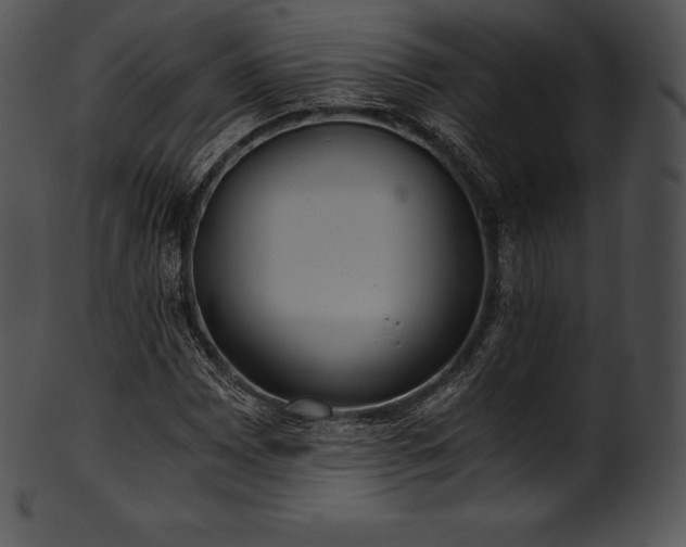 X0000101461065200807141302