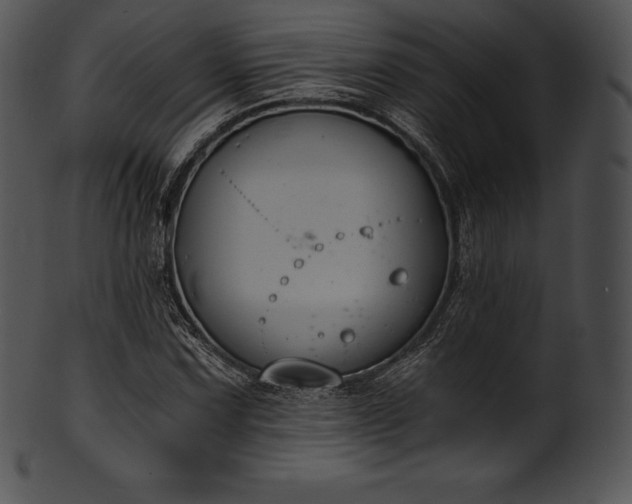 X0000101461067200807141301