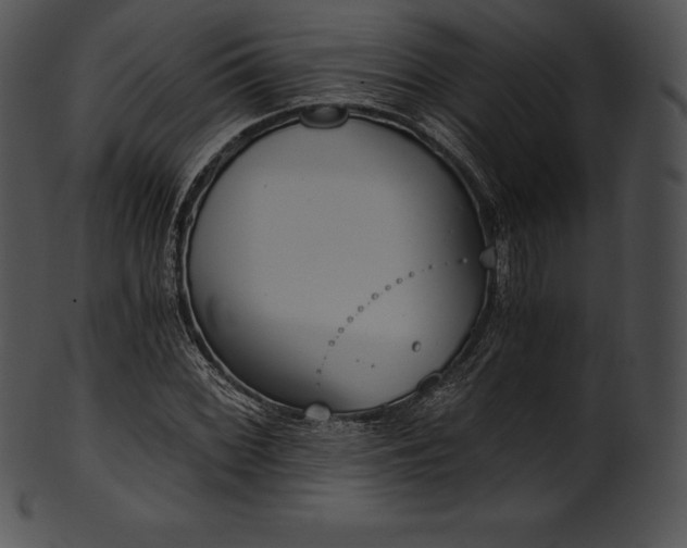 X0000101461068200807141301