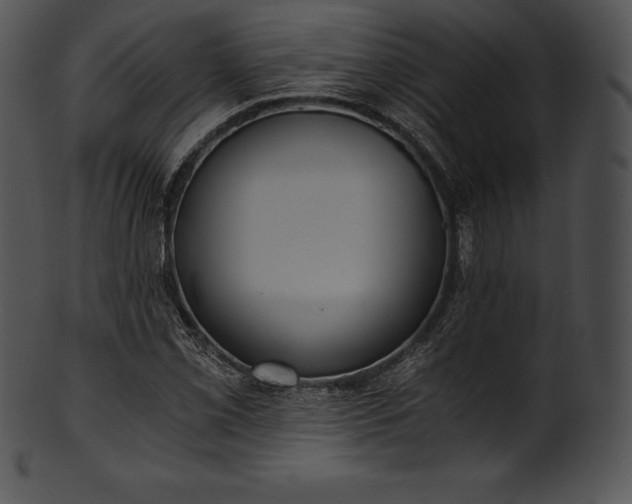 X0000101461069200807141301