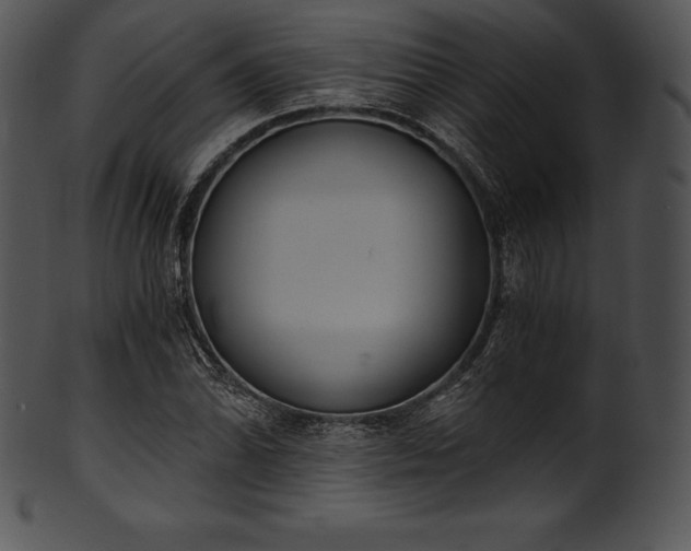 X0000101461070200807141301