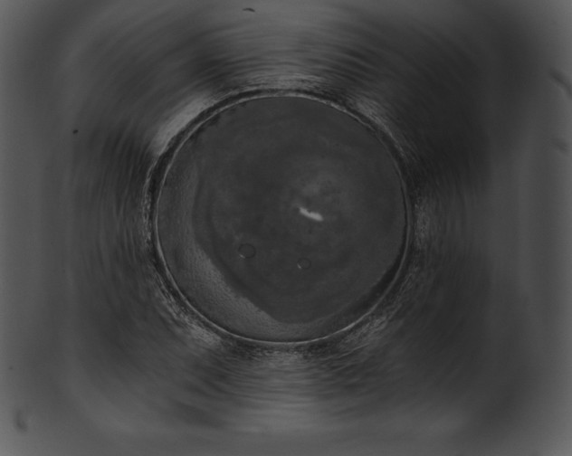 X0000101461071200807141301