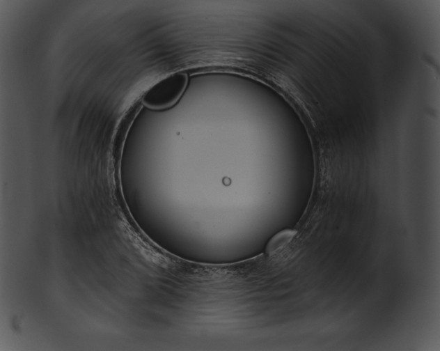 X0000101461072200807141301