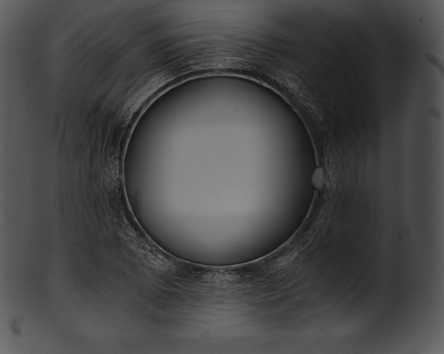 X0000101461073200807141301