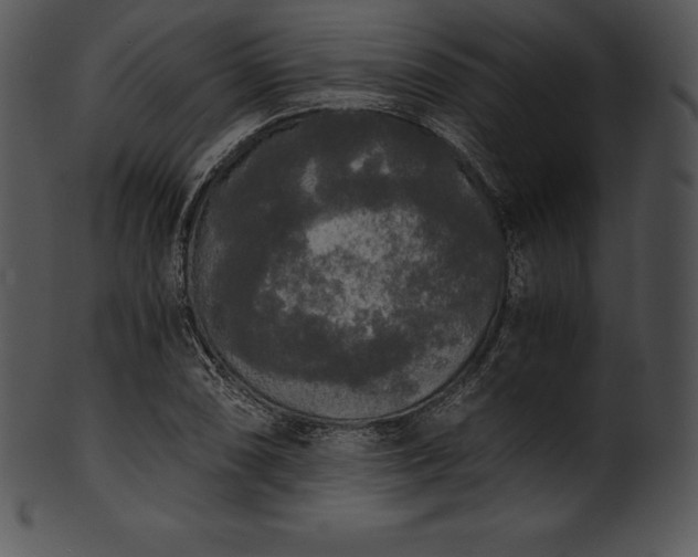 X0000101461074200807141301