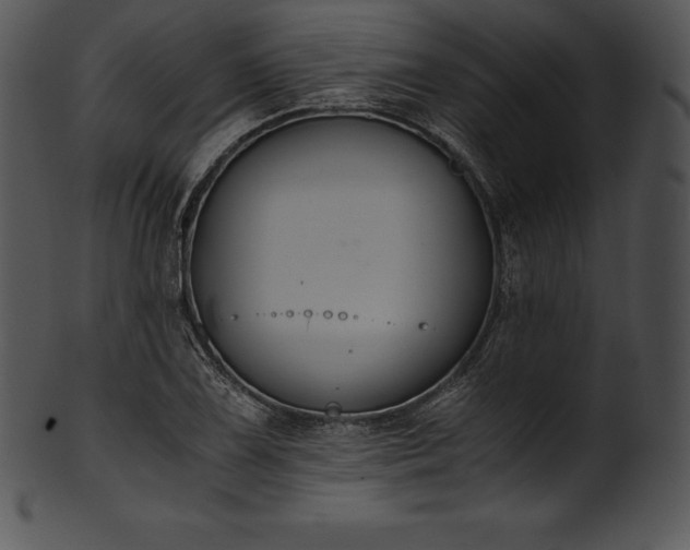 X0000101461075200807141301