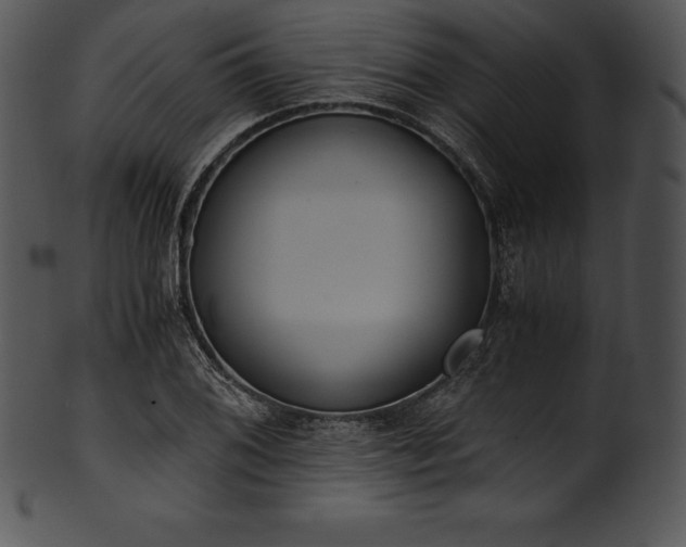X0000101461076200807141301