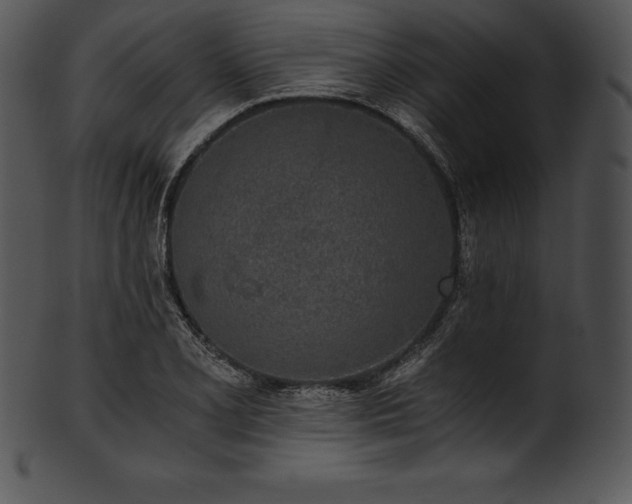 X0000101461077200807141301