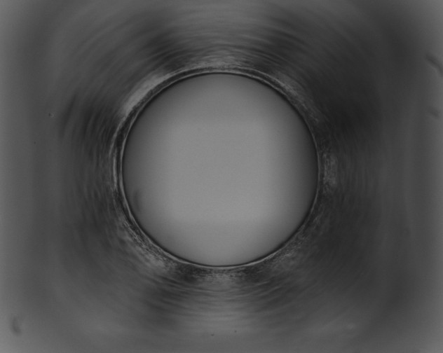 X0000101461078200807141301