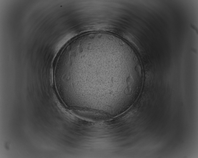 X0000101461079200807141301