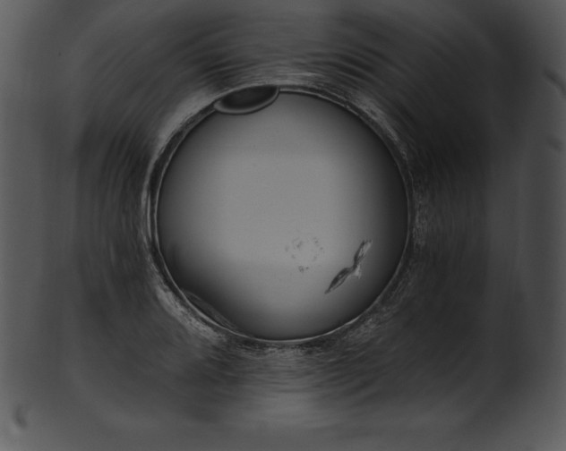 X0000101461080200807141301