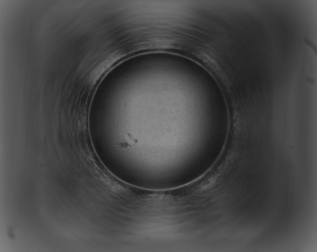 X0000101461081200807141301