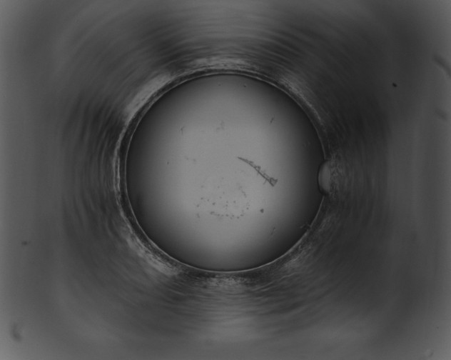 X0000101461082200807141301
