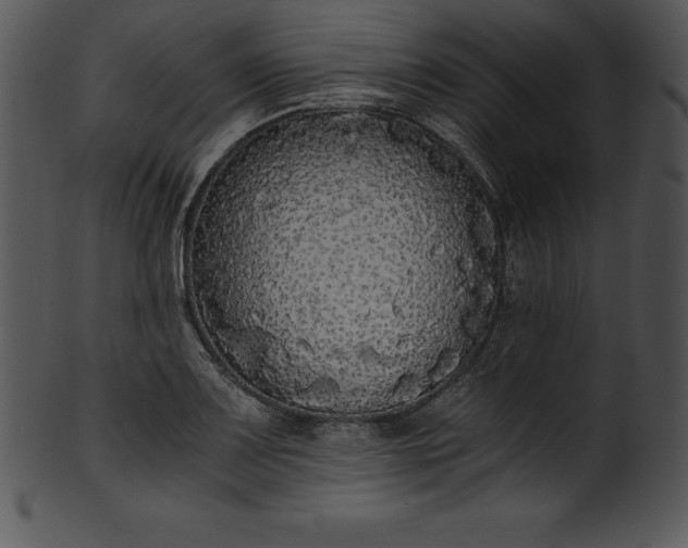 X0000101461083200807141301
