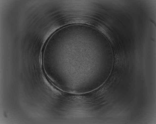 X0000101461084200807141301