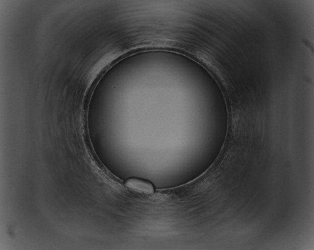 X0000101461085200807141301