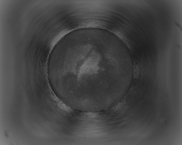 X0000101461086200807141301