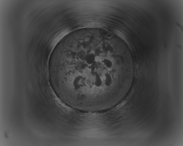 X0000101461087200807141301