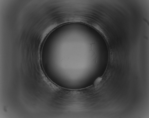 X0000101461088200807141301