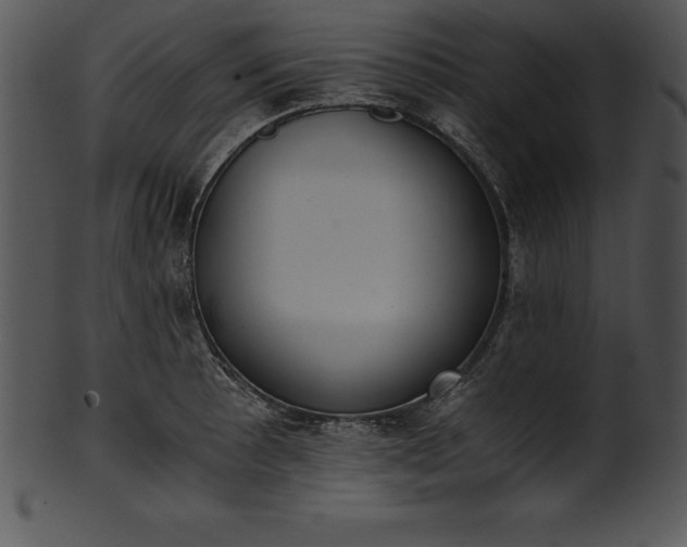 X0000101461089200807141301