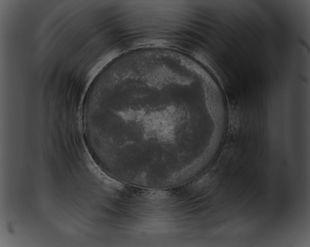 X0000101461090200807141301