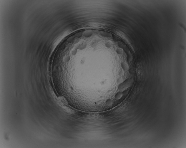 X0000101461091200807141301