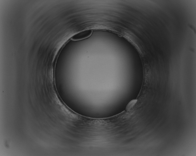 X0000101461092200807141301