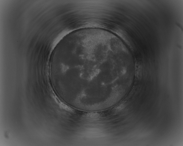 X0000101461094200807141301