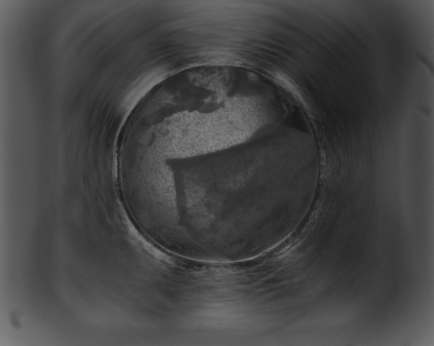 X0000101461095200807141301