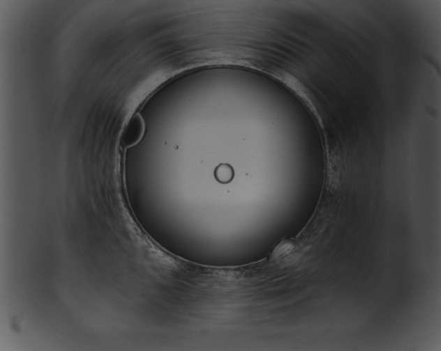 X0000101461096200807141301