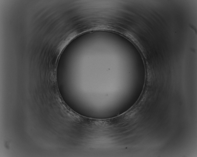 X0000101461097200807141301