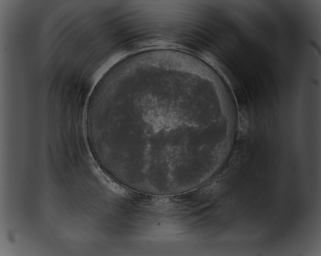 X0000101461098200807141301